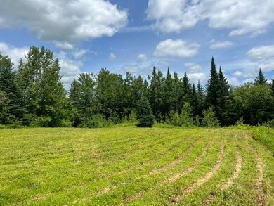 0 Rt 14 unit 4918518, Albany, VT 05820 - photo 3