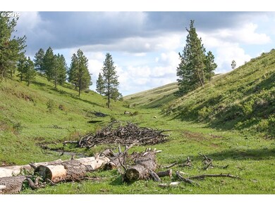 0 Rail Canyon Rd unit 19056183, Joseph, OR 97846 - photo 5