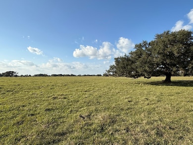 31619 Texas 36, West Columbia, TX 77486 - photo 2