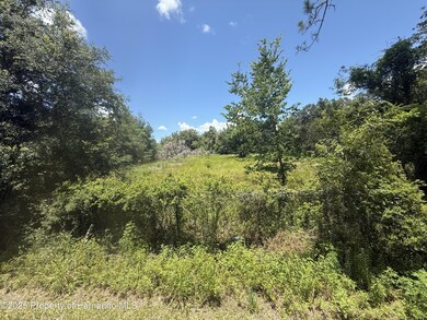 0 Goolsby St unit 2254412, Webster, FL 33597 - photo 6