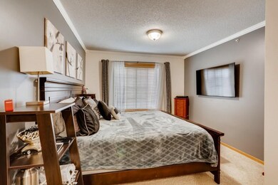 353 Ojibway Path Lino Lakes MN - MLS Sized - 007 -