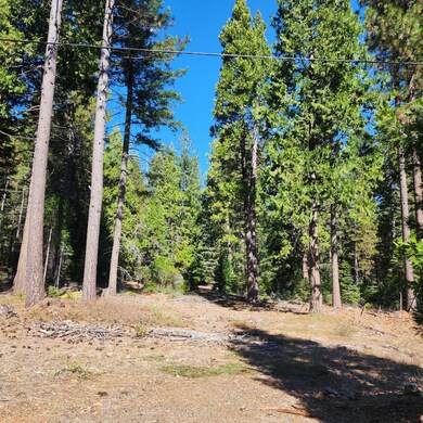 0 Ca-44 unit 25-4746, Shingletown, CA 96088 - photo 2