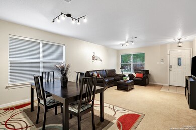 24550 Daisy Run, San Antonio, TX 78255 - photo 6