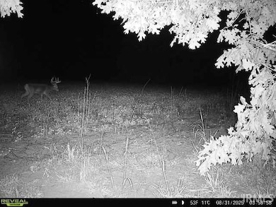 100 N 600 E, Knox, IN 46534 - photo 7