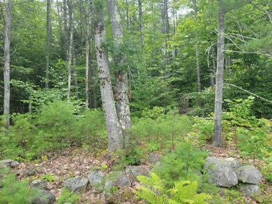 0 Megquier Hill Rd