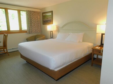 90 Loon Mountain Rd unit 1305A, Lincoln, NH 03251 - photo 7