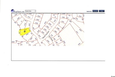 848 Tilly Lake Rd unit RIVERS EDGE PLANTATI, Conway, SC 29526 - photo 4