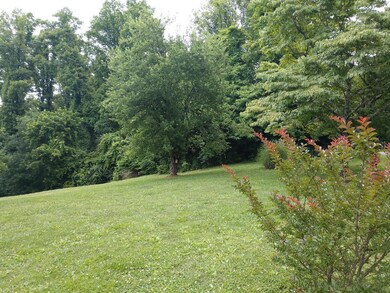 125 Utah St, Johnson City, TN 37601 - photo 4