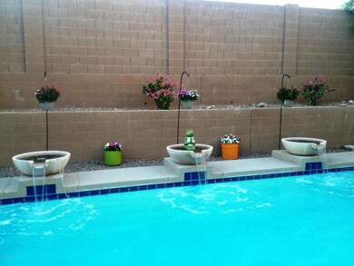 Backyard 12