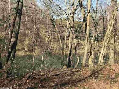 00 Arkansas 337, Heber Springs, AR 72543 - photo 3