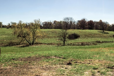 Tract 4 E 425th Rd, Fair Play, MO 65649 - photo 2