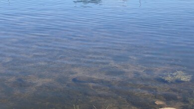 Paw Paw Lake