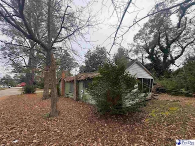 153 E Pine St, Johnsonville, SC 29555 - photo 5