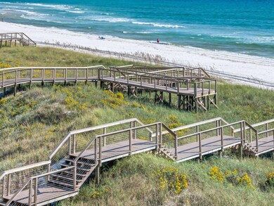 10 Lupin Beach Dr, Inlet Beach, FL 32413 - photo 6