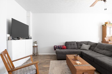 803 Jack Pine Dr, Whiteland, IN 46184 - photo 6