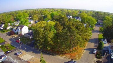 312 Pine Forest (2)