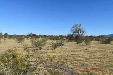 Organ pipe looking se