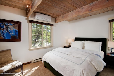 630 E Cooper Ave unit 13, Aspen, CO 81611 - photo 7