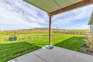 back yard view