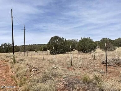 30386 W Basconia Rd unit 4394, Seligman, AZ 86337 - photo 4