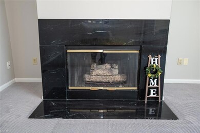 Gas fireplace