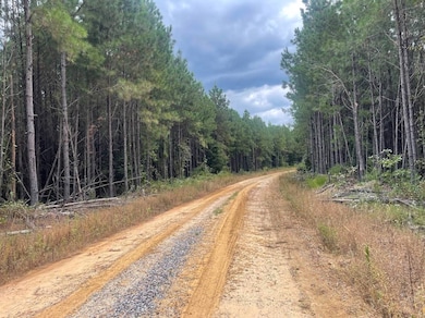 00 K T Rd, Carthage, MS 39051 - photo 2