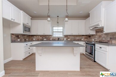 2510 Emerald Dove Dr, Temple, TX 76502 - photo 3