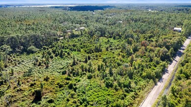 0 Quail Nest Ln unit MFRO6353244, New Smyrna Beach, FL 32168 - photo 6