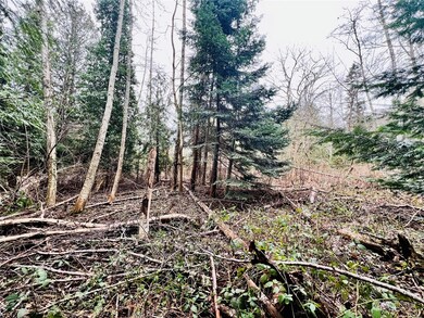 1394 Rex St, Point Roberts, WA 98281 - photo 5