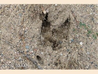 0 Lot 1 Beaver Dam Dr SW unit 4412920, Alexandria, MN 56308 - photo 2