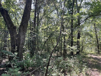 0 5 49 Acres On Meadow Creek Dr, Harrison, AR 72601 - photo 4