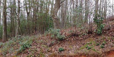 15 Gertrude Ln unit 18A, Candler, NC 28715 - photo 4