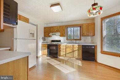 44334 Ivy Stone Ln, California, MD 20619 - photo 4