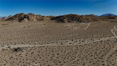 764 Rabbit Springs Rd, Lucerne Valley, CA 92356 - photo 5