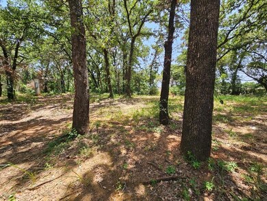 1700 Melissa Ln, Cleburne, TX 76031 - photo 3