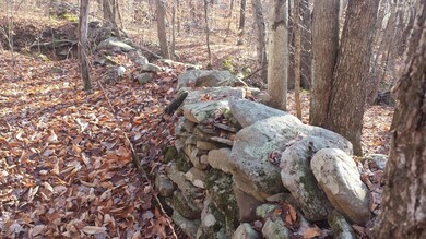 0 Siko Rd unit PWB155722, Honesdale, PA - photo 3