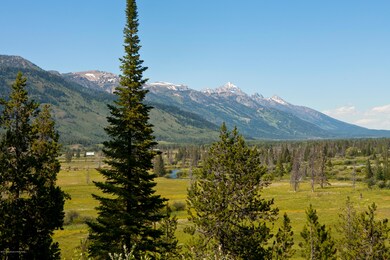 Grand Teton View