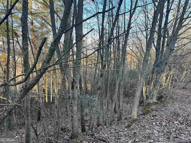 0 Daybreak Rd unit 10656893, Cleveland, GA 30528 - photo 5