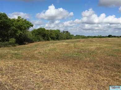 Hwy 317 Bell County Rural, Moody, TX 76557 - photo 3