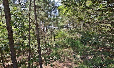 59056 S 4695 Rd, Watts, OK 74964 - photo 6