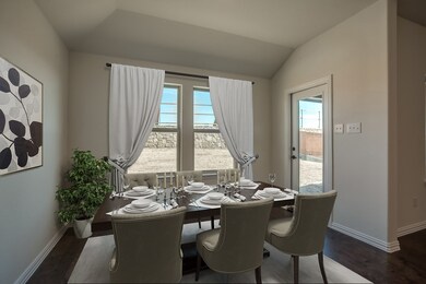 4008 Malachite Dr, Celina, TX 75009 - photo 3