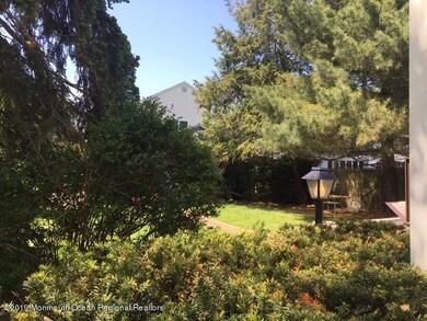 Backyard5