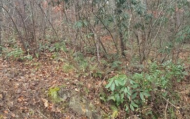 LOT 8 Clay Cir, Morganton, GA 30560 - photo 2