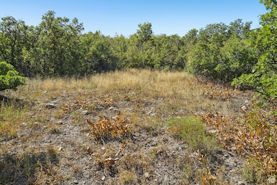 View of tree filled area