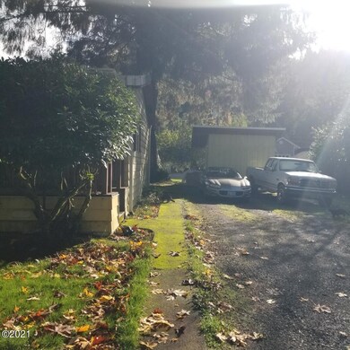 Driveway and shed