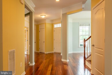 25028 Owl Creek Dr, Stone Ridge, VA 20105 - photo 5