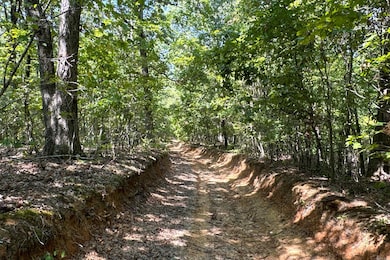 0 Clay County Rd 408 unit 24033571, Rector, AR 72461 - photo 7