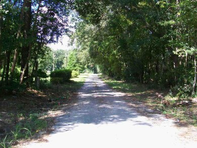 51 Flora Drive Driveway.jpg