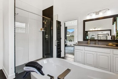 Owner's Luxury Bath