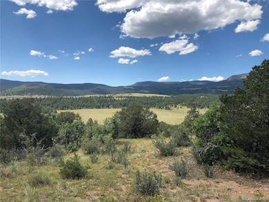 0 Rosebush Rd, Canon City, CO 81212 - photo 3